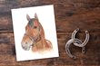 Triple Crown American Pharoah